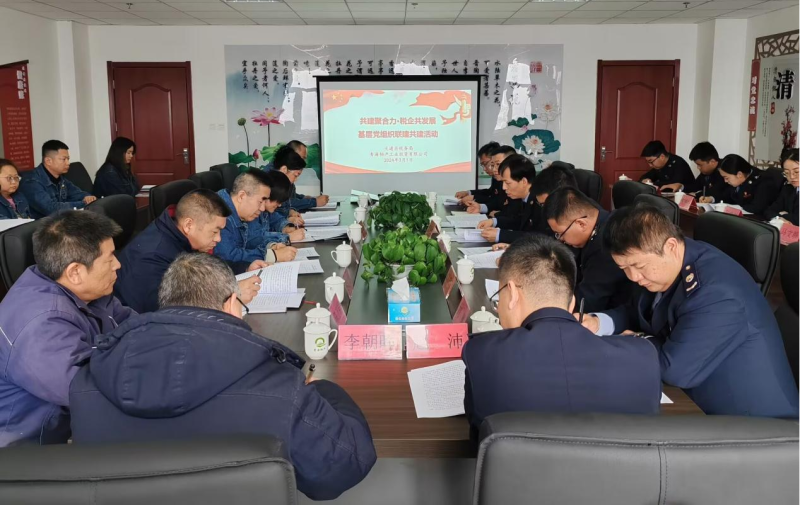 共建聚合力 稅企共發(fā)展&mdash;&mdash;工投公司舉辦基層黨組織聯建共建活動