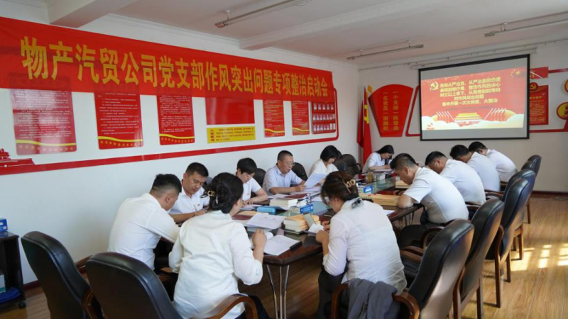 物產(chǎn)汽貿(mào)公司黨支部 召開(kāi)作風(fēng)突出問(wèn)題專(zhuān)項(xiàng)整治啟動(dòng)會(huì)