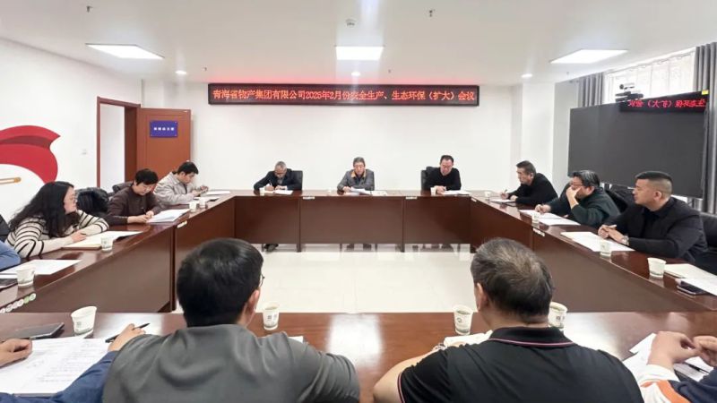 集團召開2025年2月份安全生產、生態(tài)環(huán)保（擴大）會議